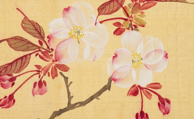 坂本浩然の描いた桜