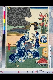 十二月ノ内 水無月土用干(収載資料名:風俗吾妻錦絵)