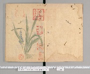 琉球草木帖 2巻