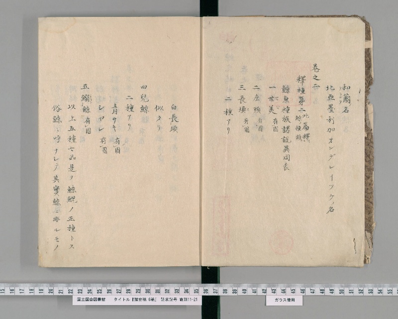 鯨史稿 6巻. [1] - ページ 4