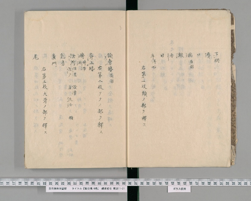 鯨史稿 6巻. [1] - ページ 6