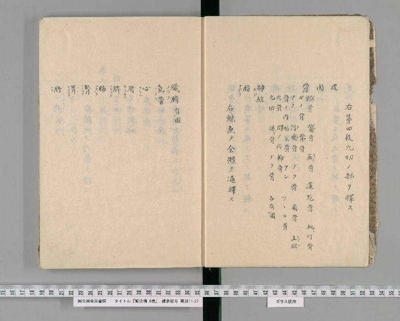 鯨史稿 6巻. [1] - ページ 7