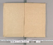 市中取締續類集